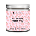 My Vagina Misses You